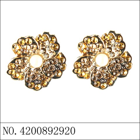 Earrings Gold