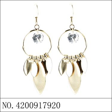 Earrings Gold