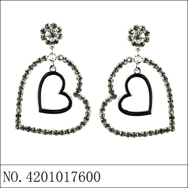 Earrings Gray