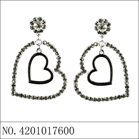 Earrings Gray