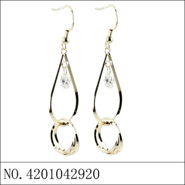 Earrings Gold