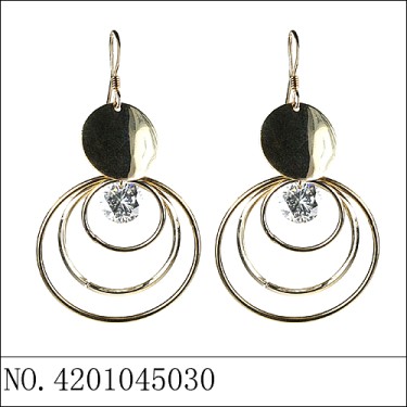 Earrings Stripe