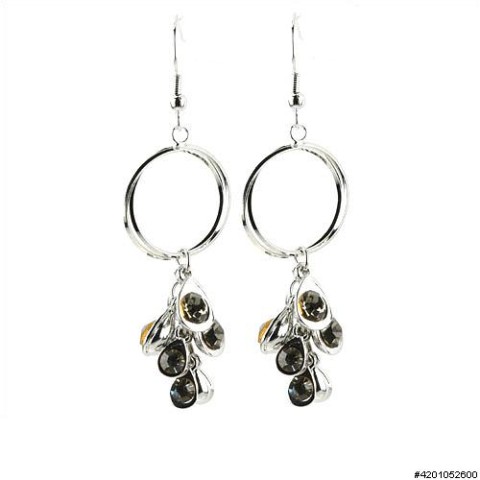 Earrings Gray