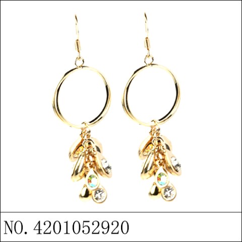 Earrings Gold