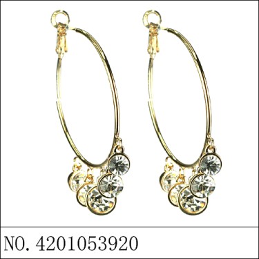 Earrings Gold