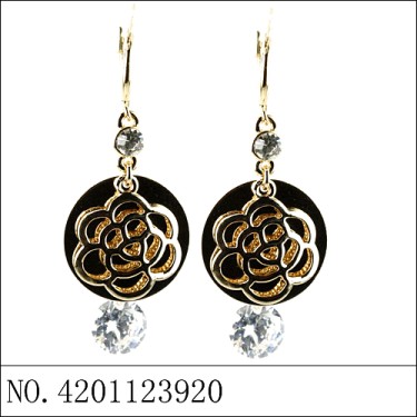 Earrings Gold