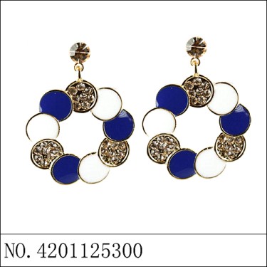 Earrings Blue