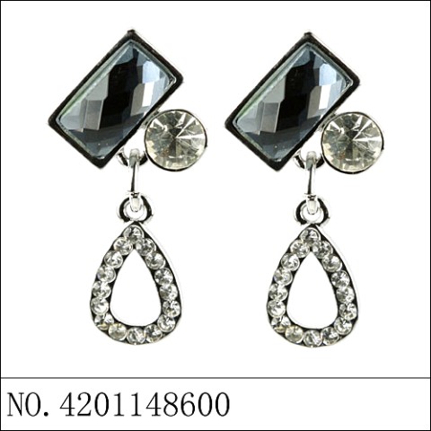 Earrings Gray