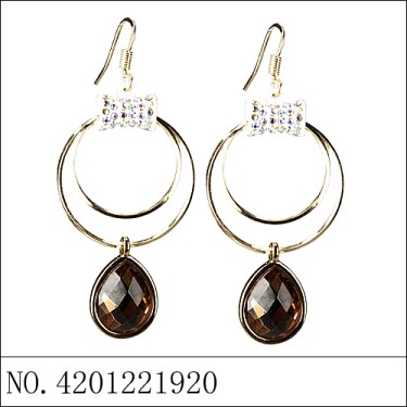 Earrings Gold