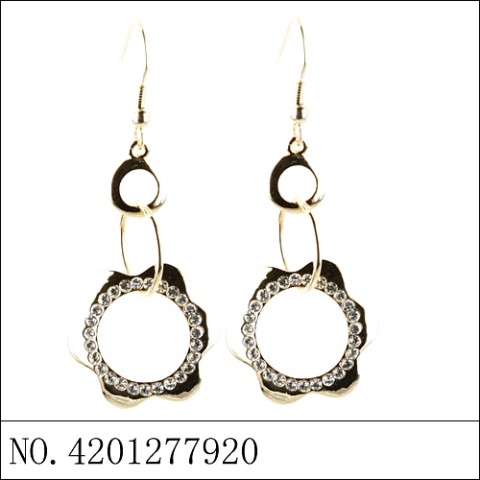 Earrings Gold