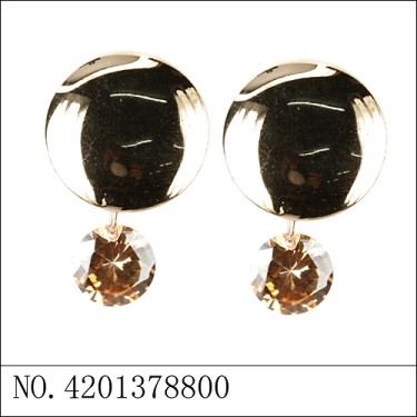 Earrings Brown