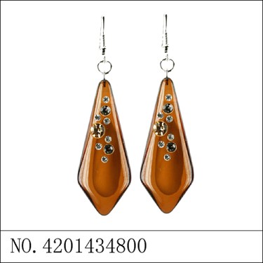 Earrings Brown