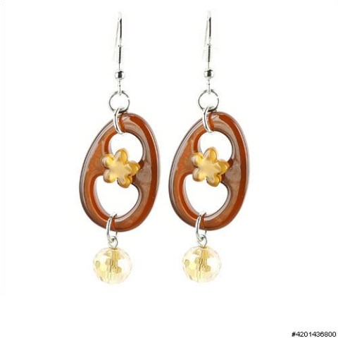 Earrings Brown