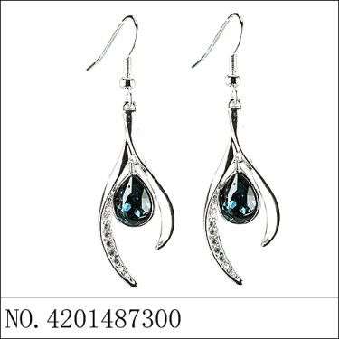 Earrings Blue