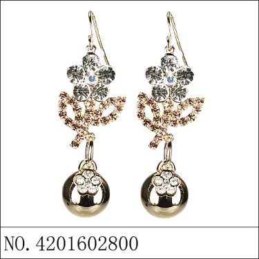 Earrings Brown