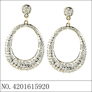 Earrings Gold