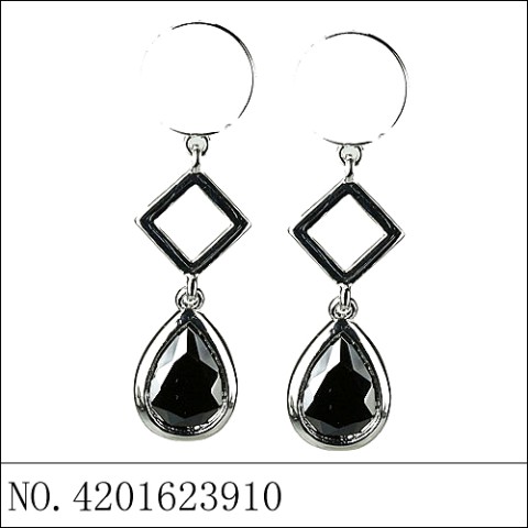 Earrings Black