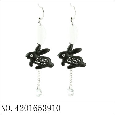 Earrings Black