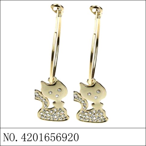 Earrings Gold