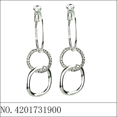 Earrings White