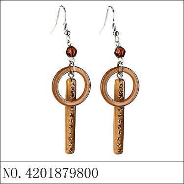 Earrings Brown