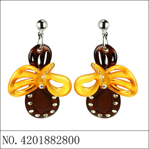 Earrings Brown