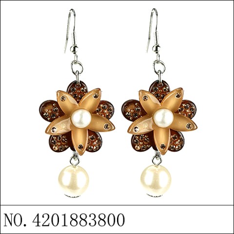 Earrings Brown