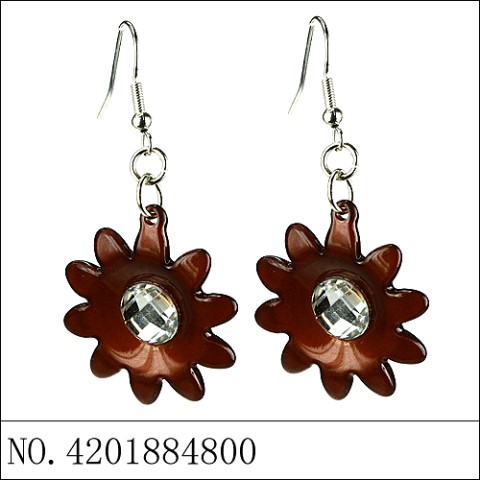 Earrings Brown