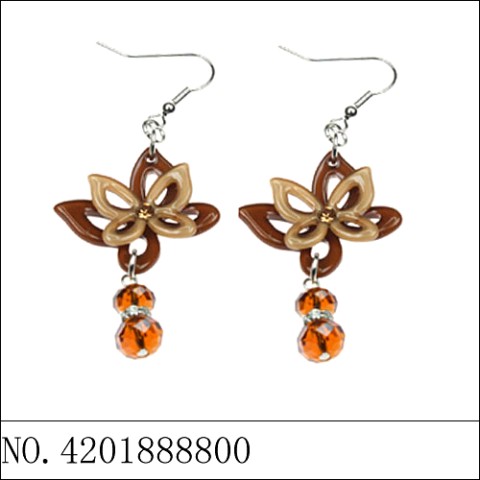 Earrings Brown