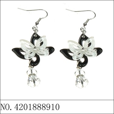 Earrings Black