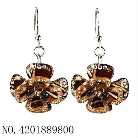 Earrings Brown