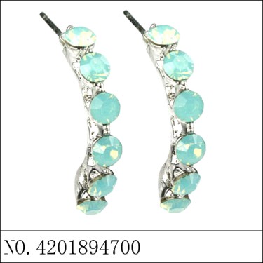 Earrings Green