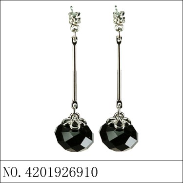 Earrings Black