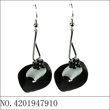 Earrings Black