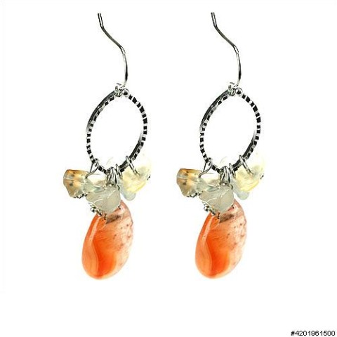 Earrings Orange