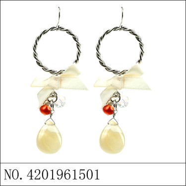 Earrings Orange