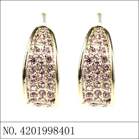 Earrings Purple