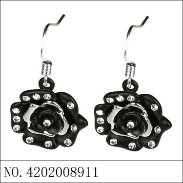 Earrings Black