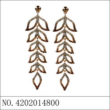 Earrings Brown