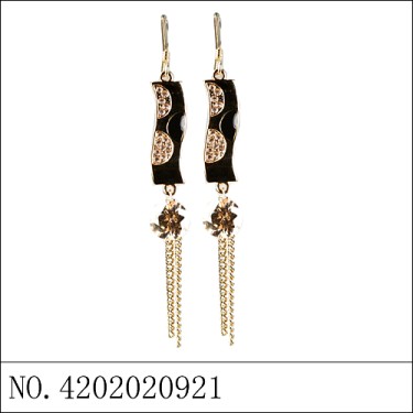 Earrings Gold