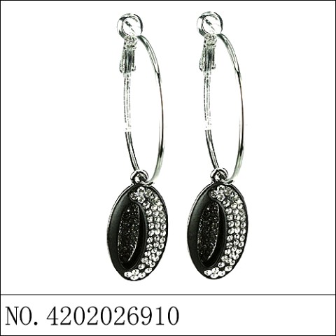 Earrings Black