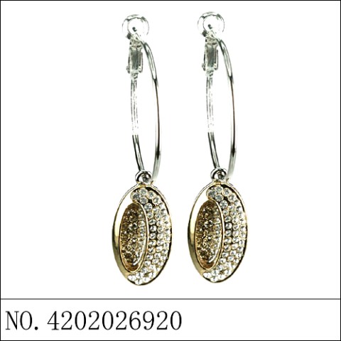 Earrings Gold