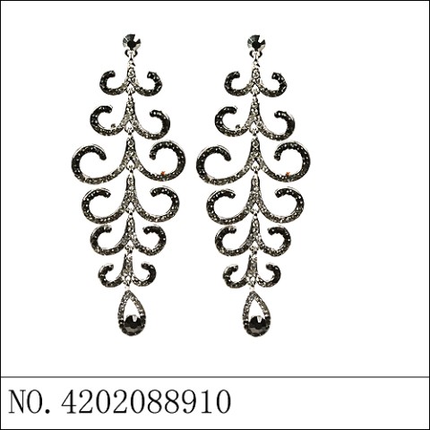 Earrings Black