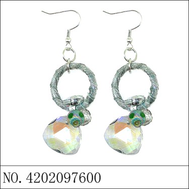 Earrings Gray