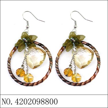 Earrings Brown