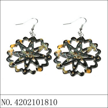 Earrings Brown