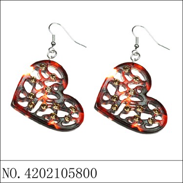 Earrings Brown