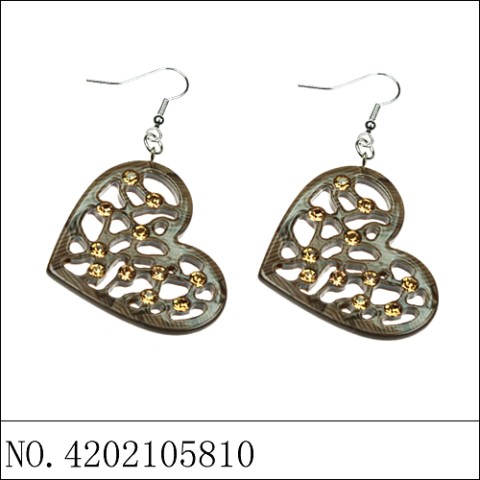 Earrings Brown