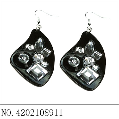 Earrings Black