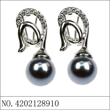 Earrings Black